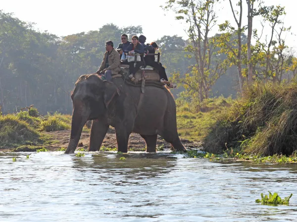 Chitwan National Park Elephant Safari River Crossing Nepal