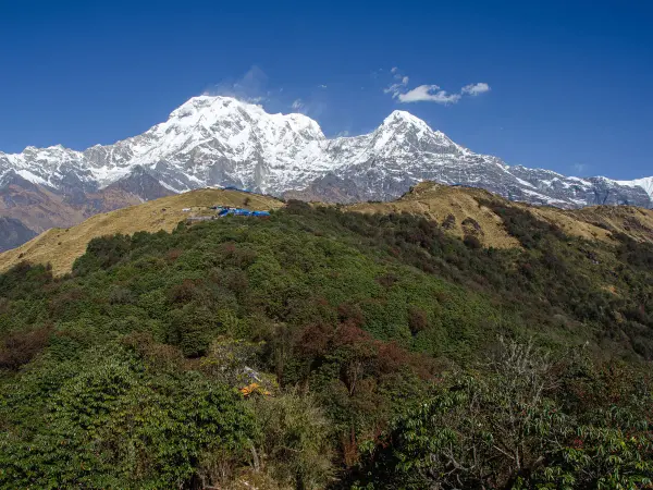 Forest Trail Annapurna Range View Mardi Himal 2