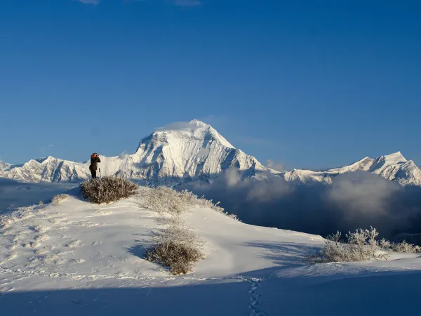 Hiker Snowy Mulde Peak Dhaulagiri Panorama