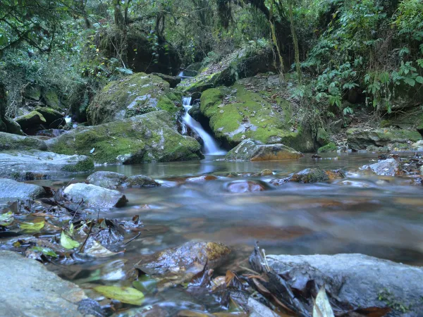 Luxury Ghorepani Ghandruk Trek Forest Waterfall Stream 1