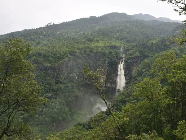 Manaslu Circuit Waterfall Lush Forest 2