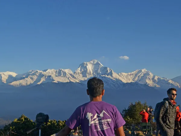 Trekker Purple Tshirt Dhaulagiri Viewpoint 5