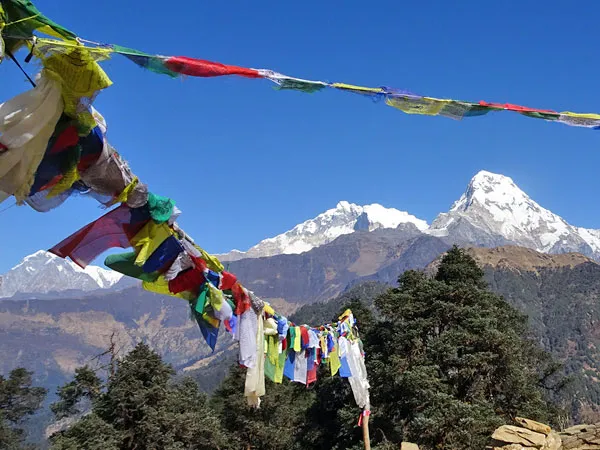Colorful Buddhist prayer flags fluttering against the backdrop of snow-capped Himalayan peaks on the Ghorepani Annapurna Base Camp Trek.