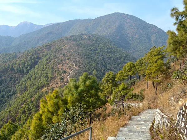 A paved stone walking path with a metal handrail winding through pine trees along a mountain ridge leading towards Champadevi Hill