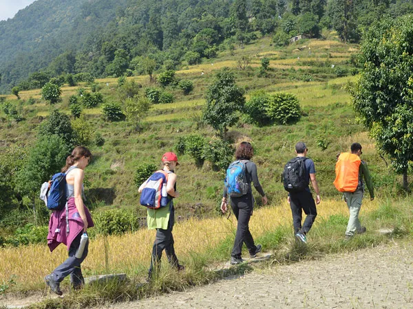 A group of five hikers carrying daypacks walking along a narrow trail past lush green and golden terraced farm fields below wooded hills
