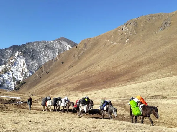 A line of pack horses loaded with trekking gear walking along a mountain trail through an open valley in Western Nepal