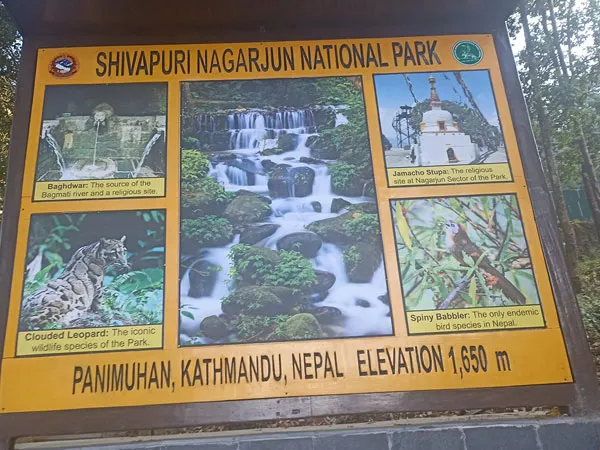 A yellow information signboard at Panimuhan (1,650 m) displaying photos of Baghdwar, Jamacho Stupa, a clouded leopard, a spiny babbler, and a waterfall in Shivapuri Nagarjun National Park.