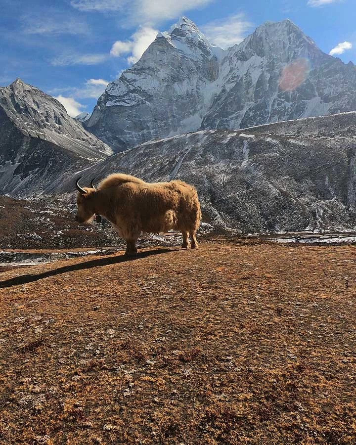 everest base camp trek after the rain september 2024