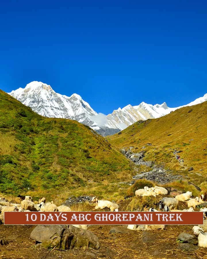 10 days abc ghorepani trekking