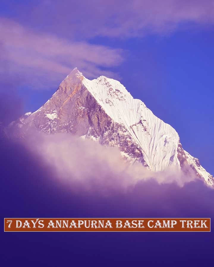 7 days annapurna base camp trek