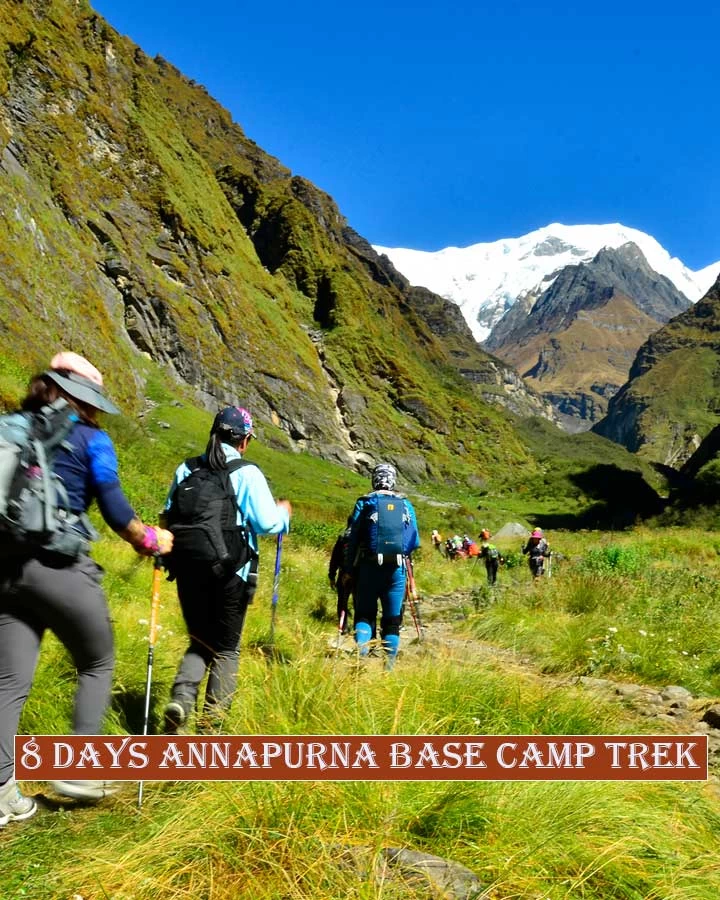 8 days annapurna base camp trekking