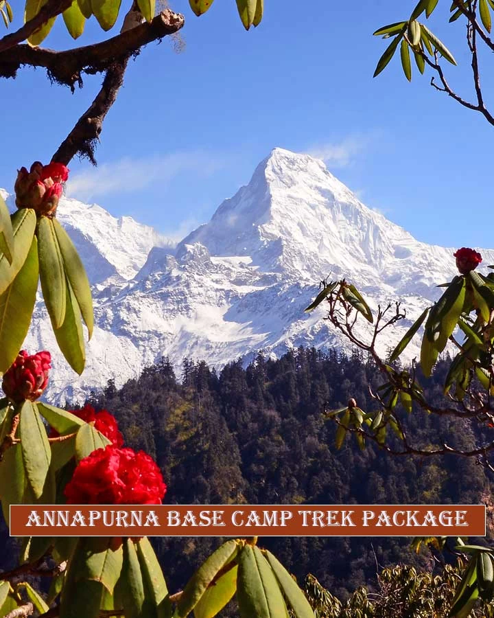 annapurna base camp trekking package