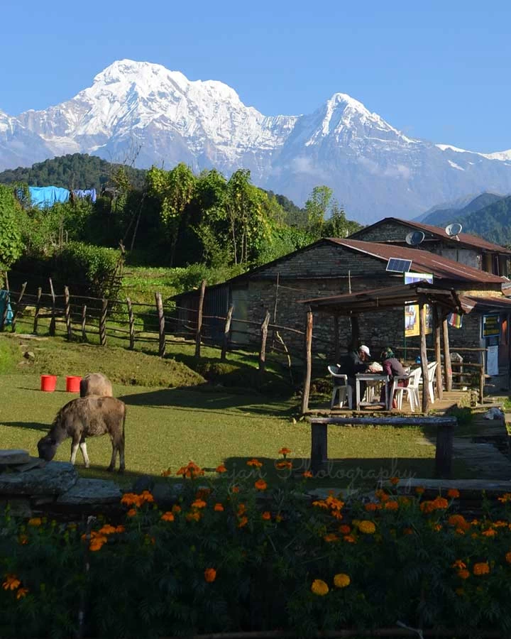 mardi himal trek from pokhara