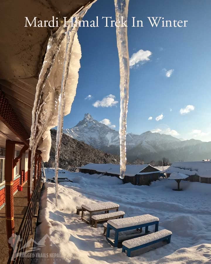 mardi himal trek in winter season