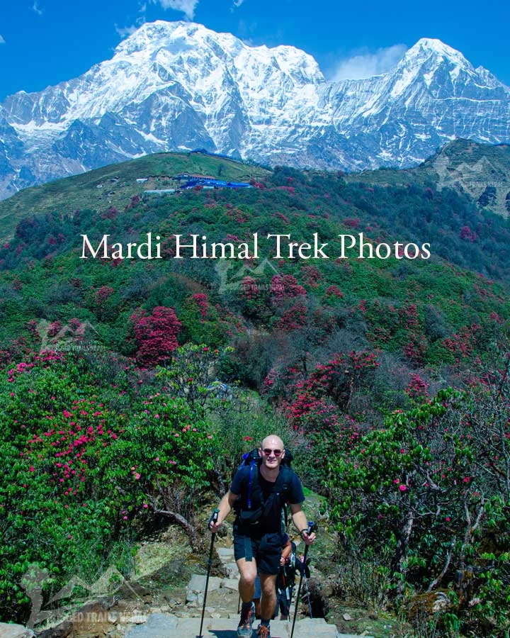 mardi himal trek photos