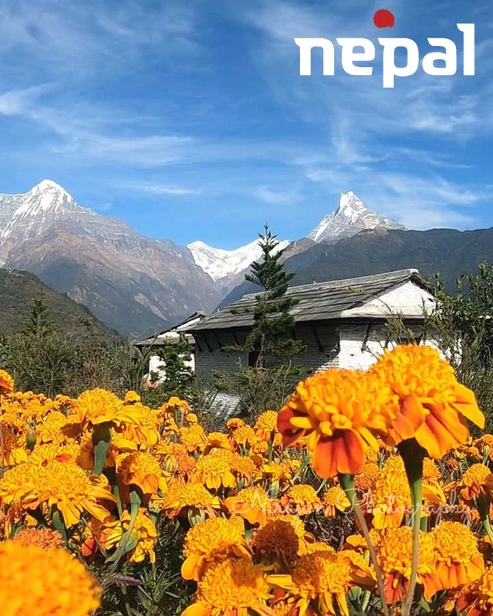 nepal annapurna panorama trek