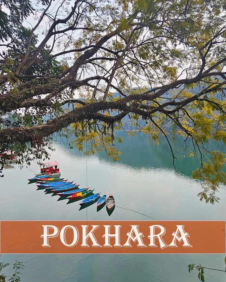 pokhara best tourist destination in nepal