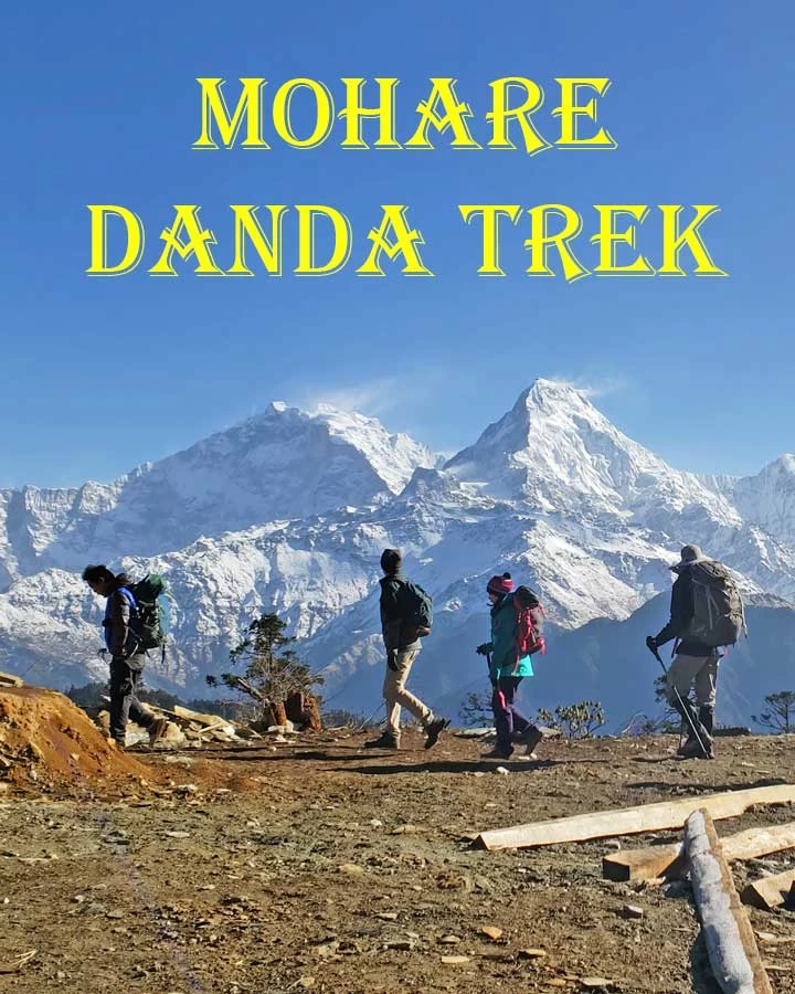 spring trek in nepal himalayas mohare danda