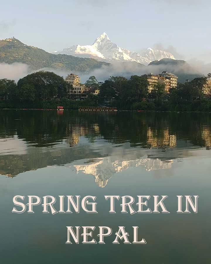 spring trek in Nepal