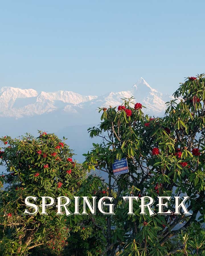 spring trek in nepal himalayas