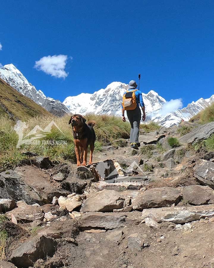 trekking safety in Nepal