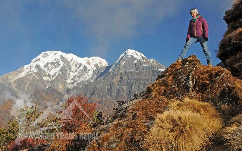 4 days mardi himal base camp trek video