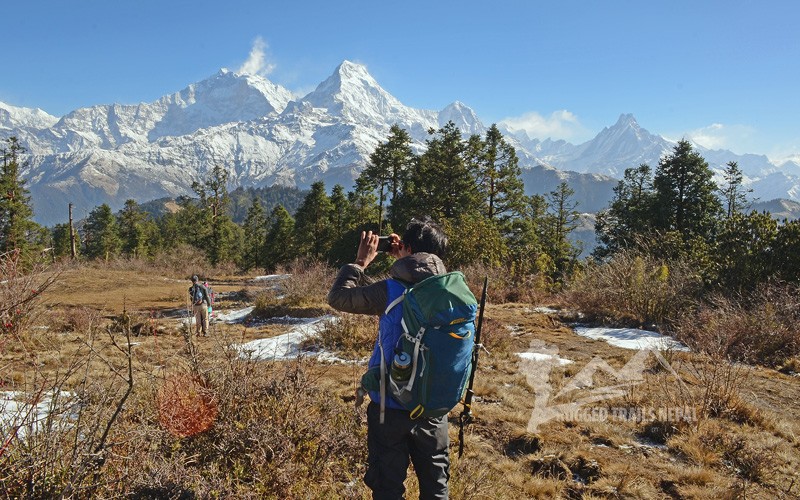 trekking in nepal annapurna panorama trek